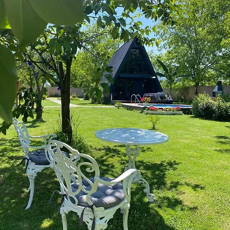 Sardunya * サパンジャ