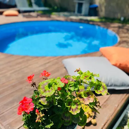 Sardunya * サパンジャ