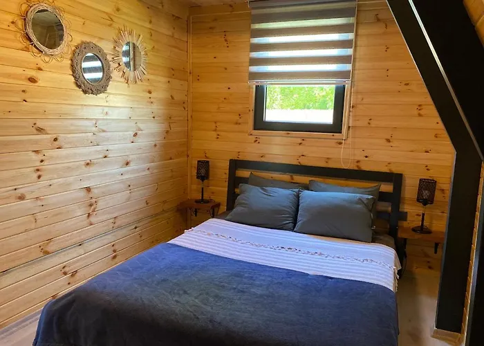 Sardunya ספנג'ה