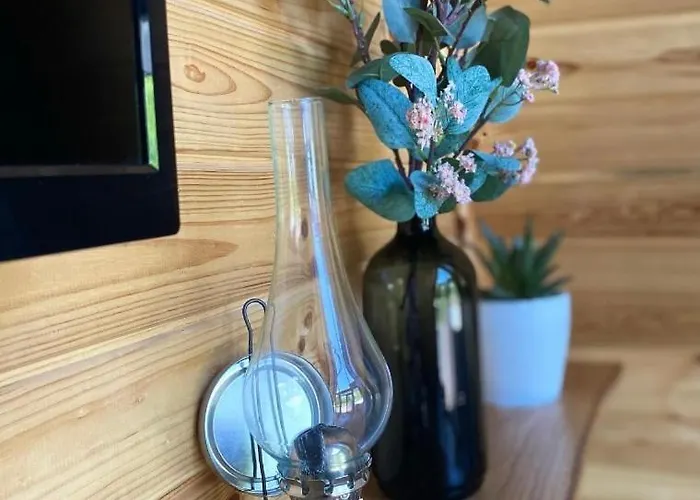 Sardunya * ספנג'ה