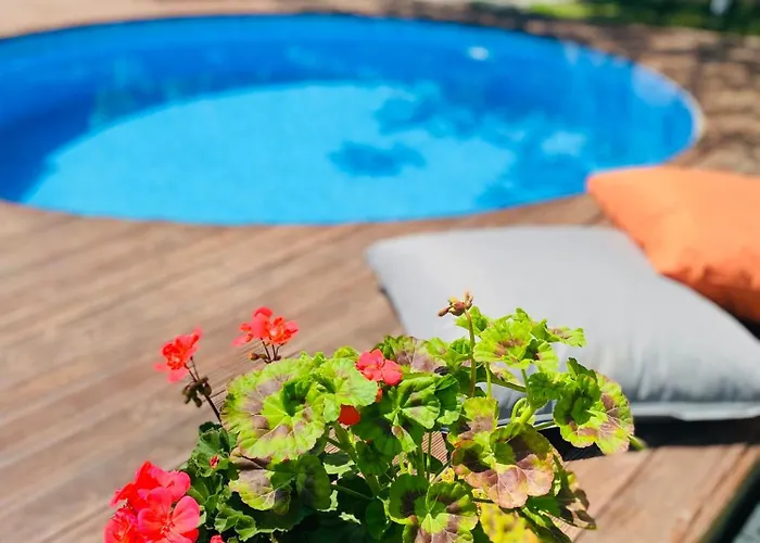 Sardunya * ספנג'ה