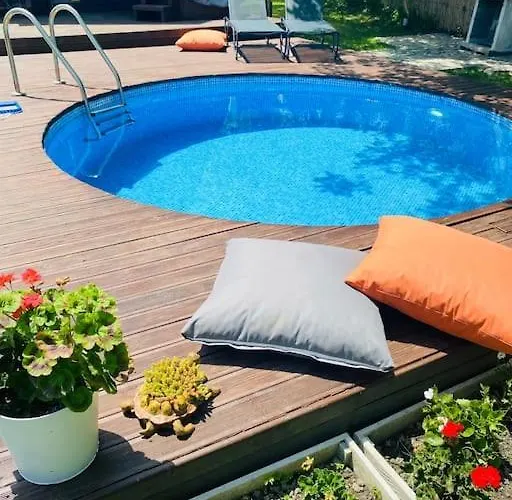 Sardunya ספנג'ה